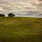 An Alentejo Landscape